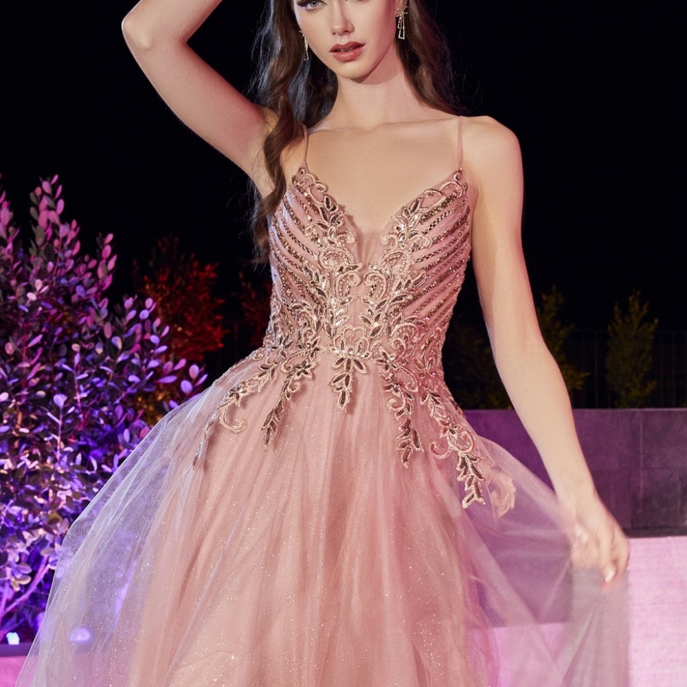 New long Black, silver, rose gold lace beaded long tulle dress